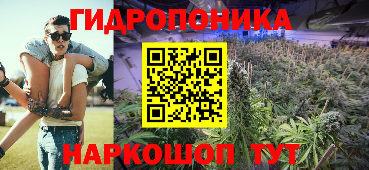 Бошки Шишки планчик Северск